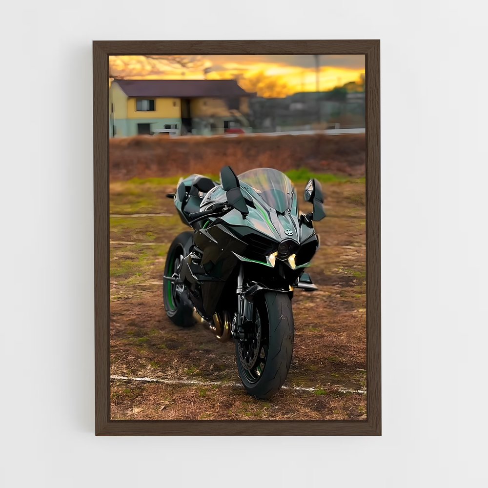 Poster incroyable Ninja h sx (vue 5)